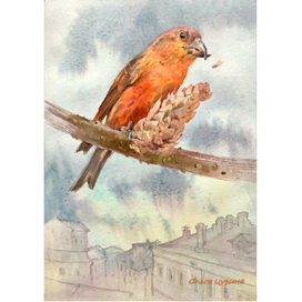 «Капитан Клюквин» Юрий Коваль, АСТ, 2025