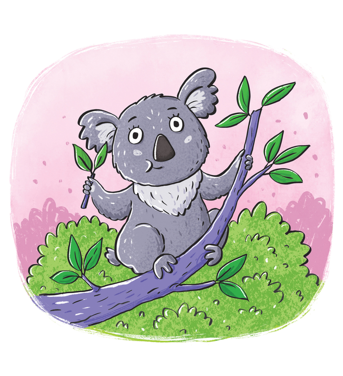 Просто коала