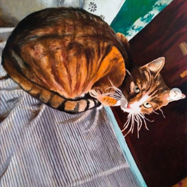 "Наблюдатель" Портрет кота Тимофея