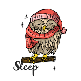 Sleeping Owl