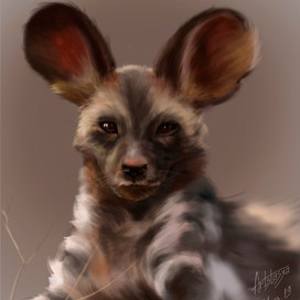 hyena dog