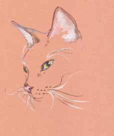 Кошачий портрет (х4)