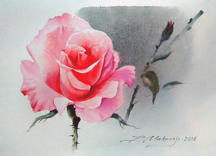 ,,Роза,,Демо-версия и тест бумаги DMD