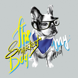 Французский бульдог. Собака в очках