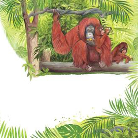 Орангутанги