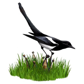 Царская охота