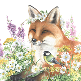 Серия иллюстраций для посуды