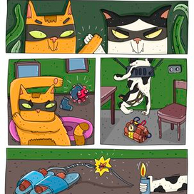 Коты в доме