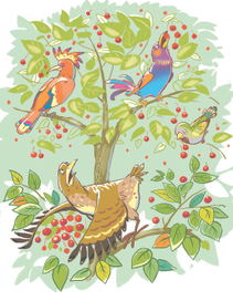 Жадная птаха