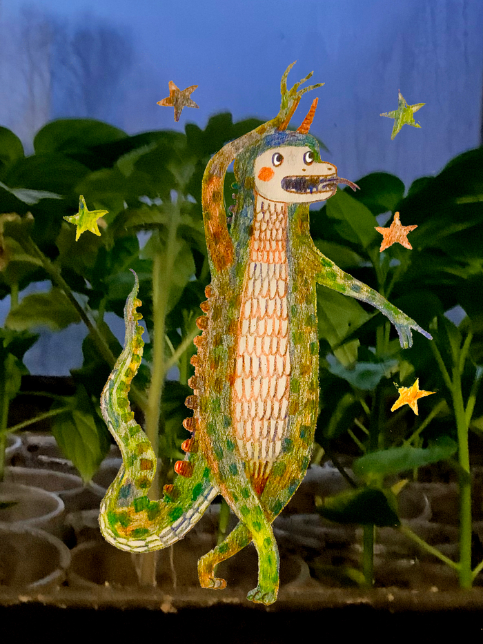 Рассадил томаты и рад 