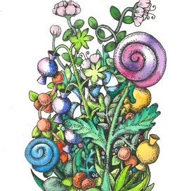 Вид Носотроллии