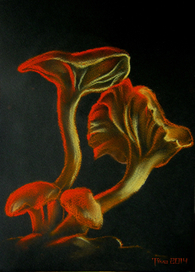 Грибы-лисички