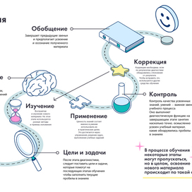 Инфографика "Этапы обучения"