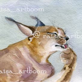 Звери (ПУМА)