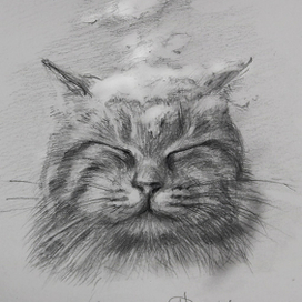 А снег-то холодныыый...