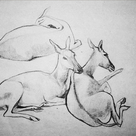 ну вот, поели - теперь можно и поспать2