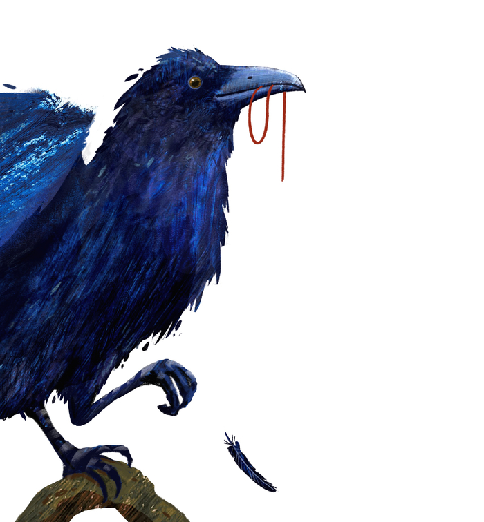 Птичка ворон 