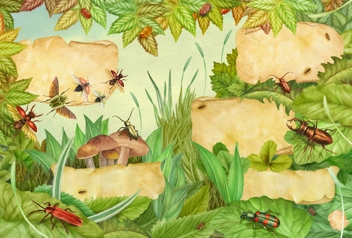 Большая Книга Насекомых