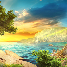 Тихая гавань