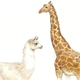 Жираф и лама)