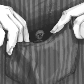 Карман 2 (внутреннее)