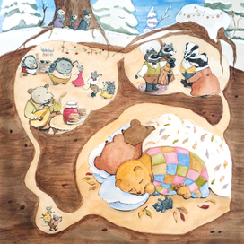 Медвежонок проспал