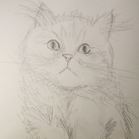 "Супер натурщик" 