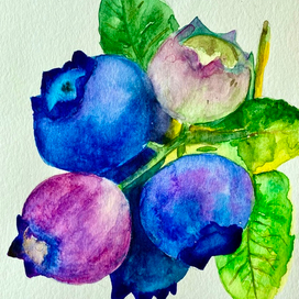 Акварель ягоды