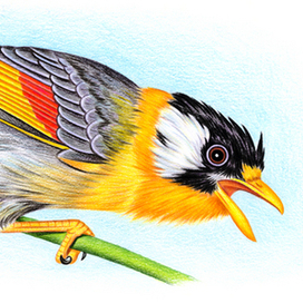 серебристая месия