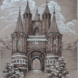 Цветет Жасмин