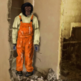 Джамшут-макак