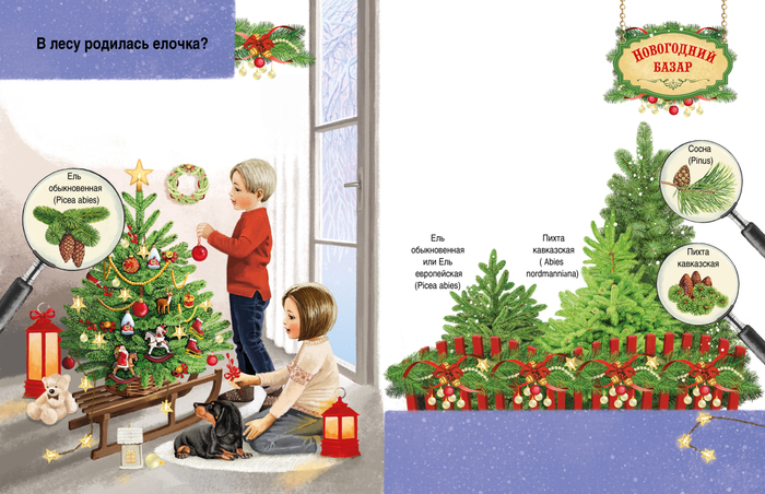 В лесу родилась елочка