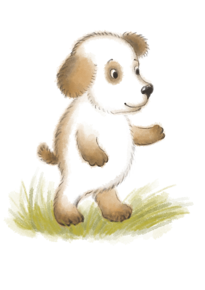 Умная собачка Соня