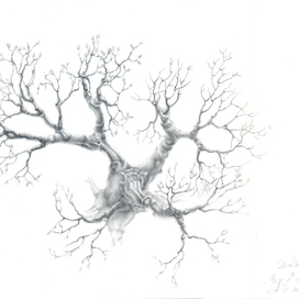 смотреть глубже