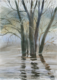 Половодье на Оке