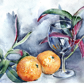 Натюрморт с натуры