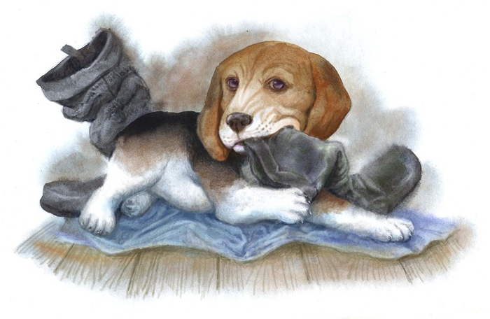 Чинк (заставка)