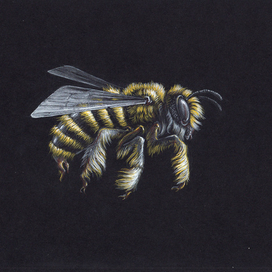  "Pest" 1-я серия 002