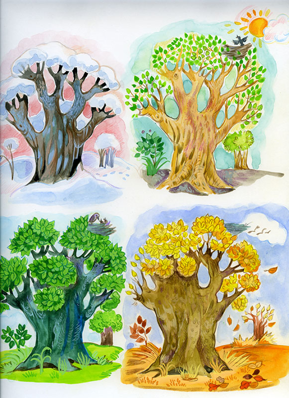 Дерево в разные времена года. Из книжки лесная полянка