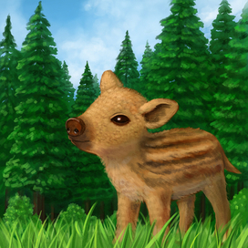 Приключения Кабанчика