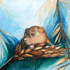 Хомячок на пшенице