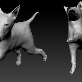 Булька в 3D 1