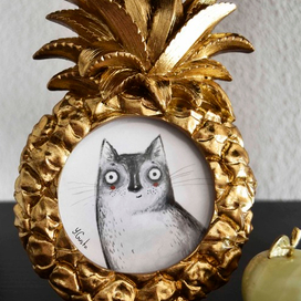 кот в ананасе