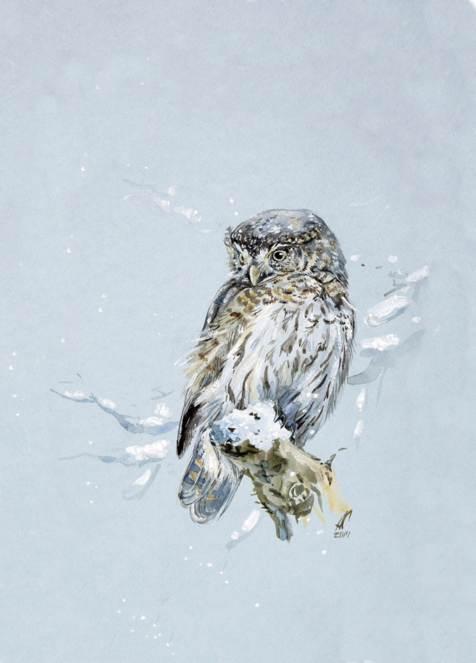 "Где же мышка?"