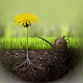 Техно- одуванчик