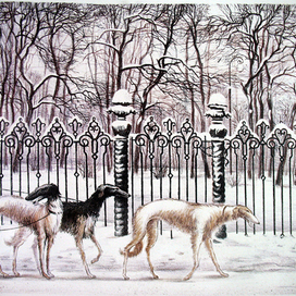 "Русские борзые"