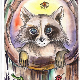 Енот в дупле