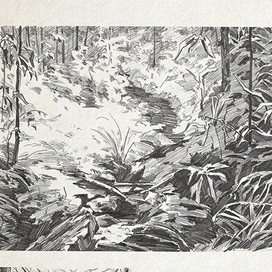 История про маленького олененка