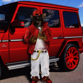 Не с этой вселенной