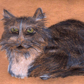 серия Кисловодск Котофей